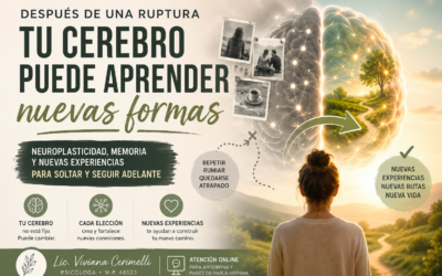 ¿Se puede aprender a soltar? Neuroplasticidad, memoria y nuevas formas de vivir después de una ruptura